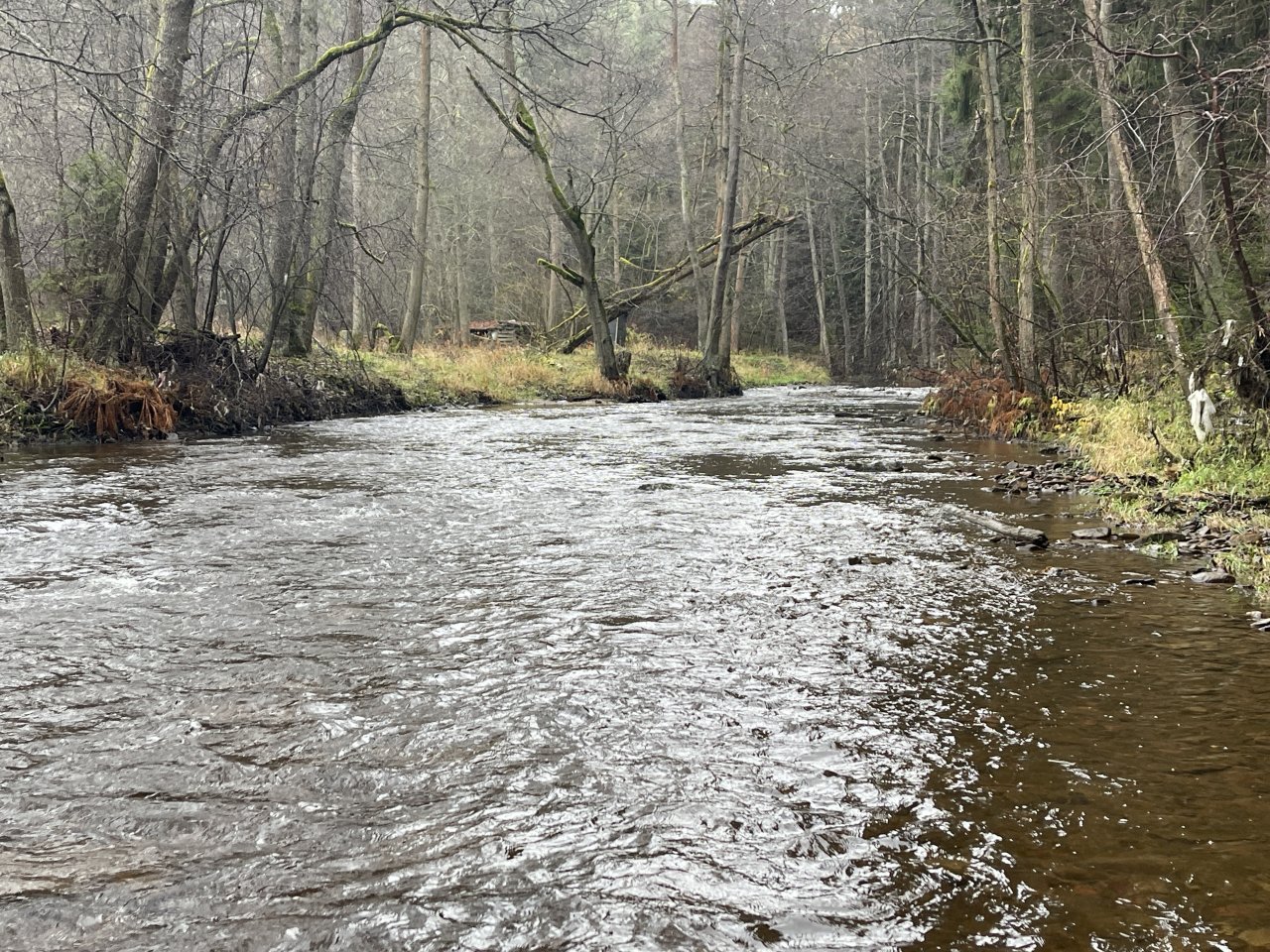 Svatava v okol� obce H�ebeny