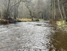 Svatava v okolí obce Hřebeny