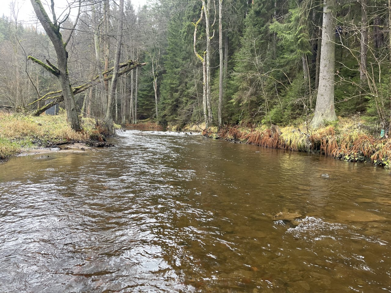 Svatava v okol� obce H�ebeny