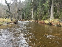 Svatava v okolí obce Hřebeny