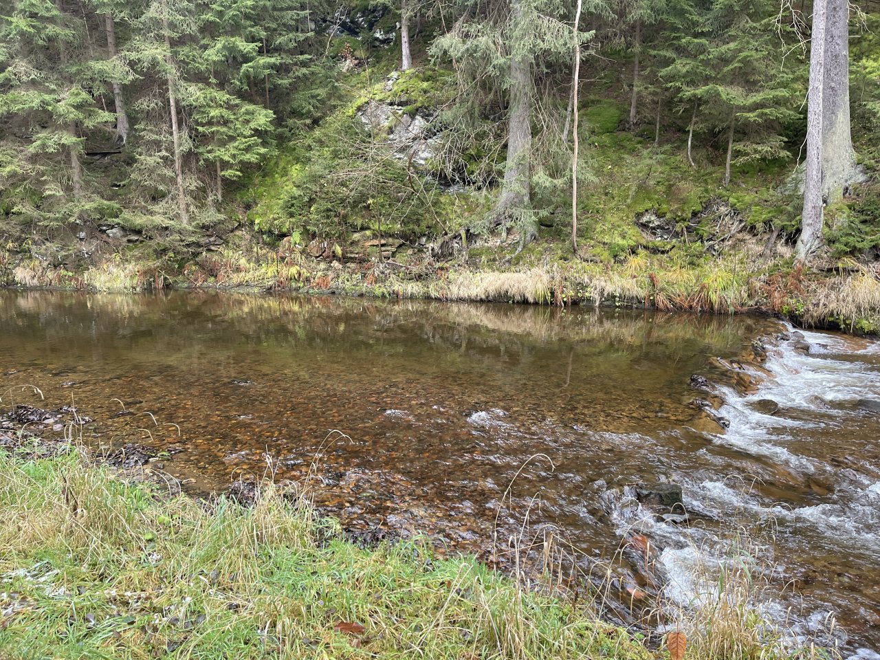 Svatava v okol� obce H�ebeny