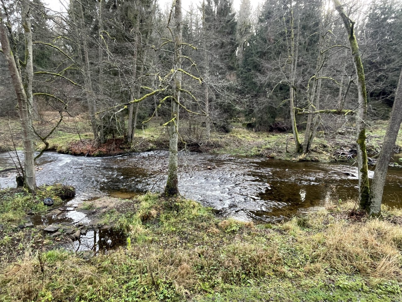 Svatava v okol� obce H�ebeny