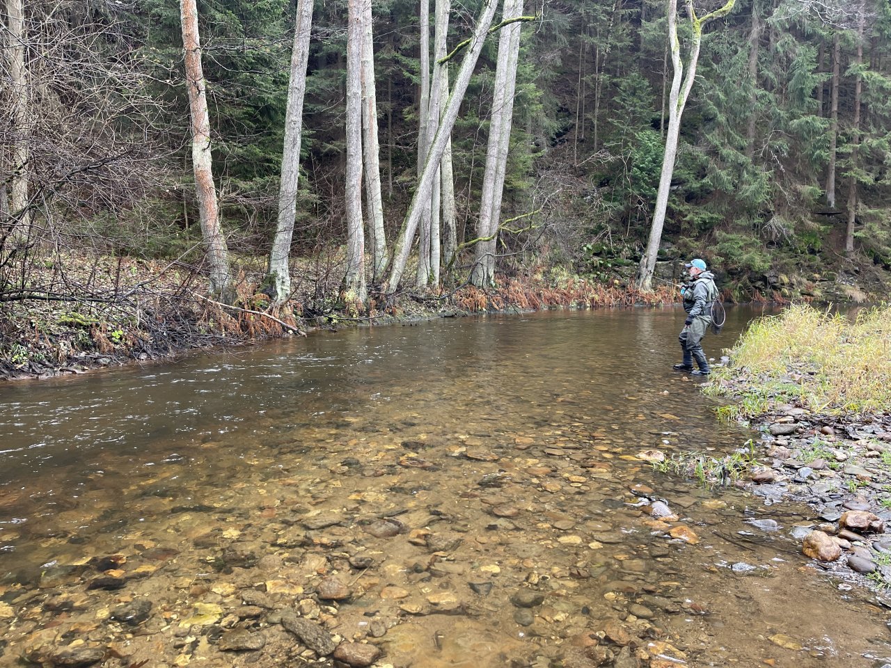 Svatava v okol� obce H�ebeny