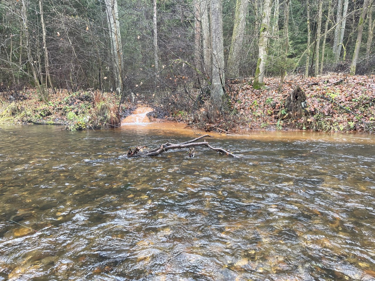 Svatava v okol� obce H�ebeny