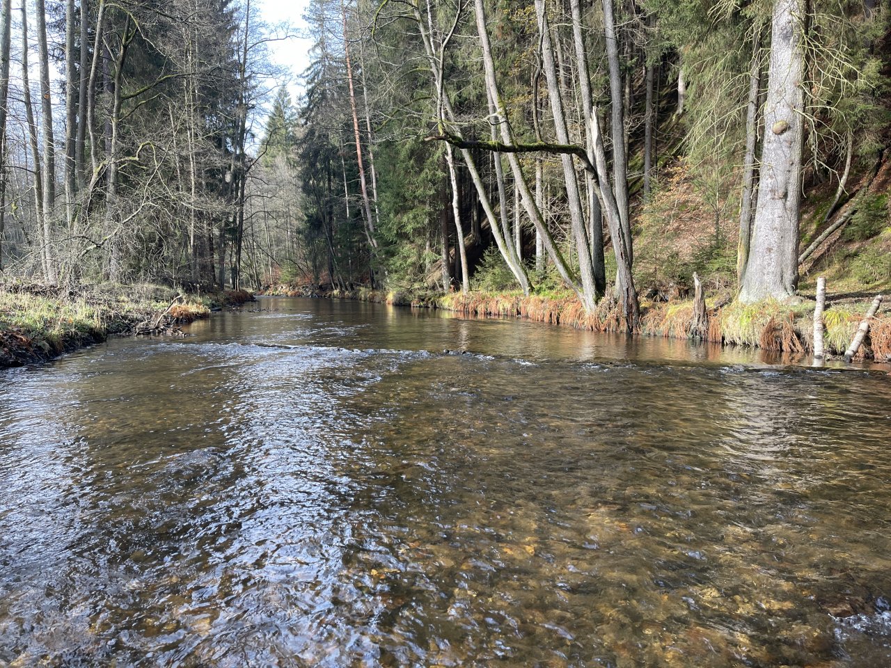 Svatava v okol� obce H�ebeny