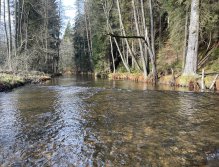 Svatava v okolí obce Hřebeny