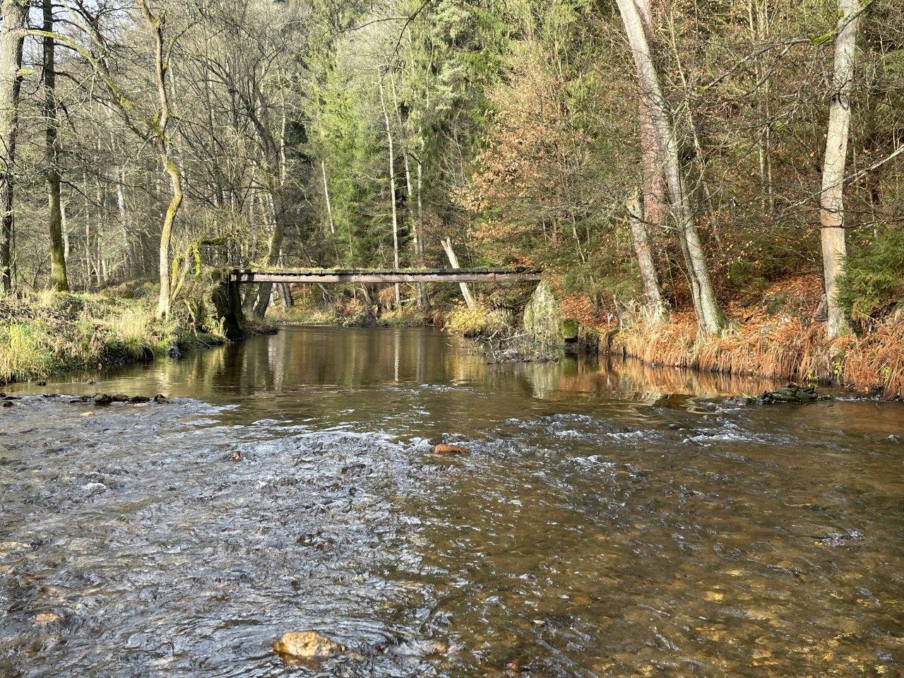 Svatava v okol� obce H�ebeny