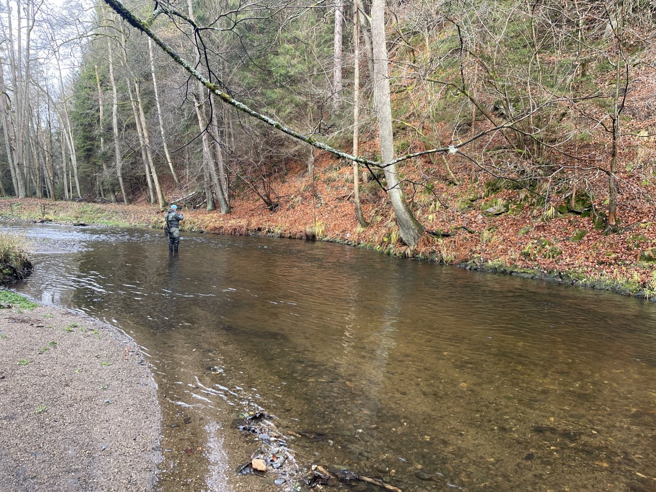 Svatava v okol� obce H�ebeny