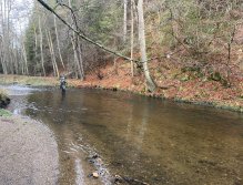 Svatava v okolí obce Hřebeny