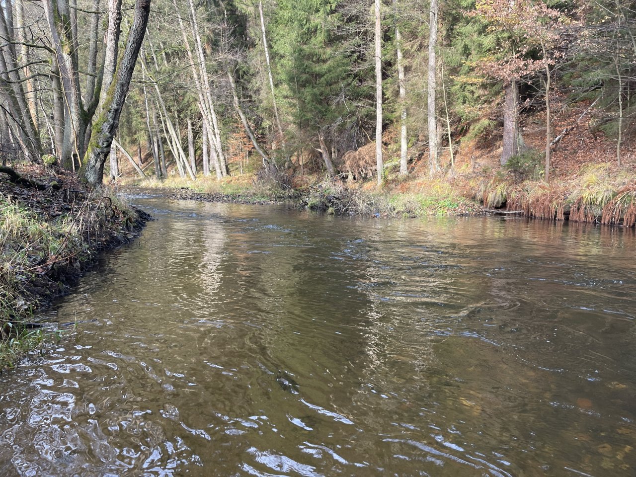 Svatava v okol� obce H�ebeny