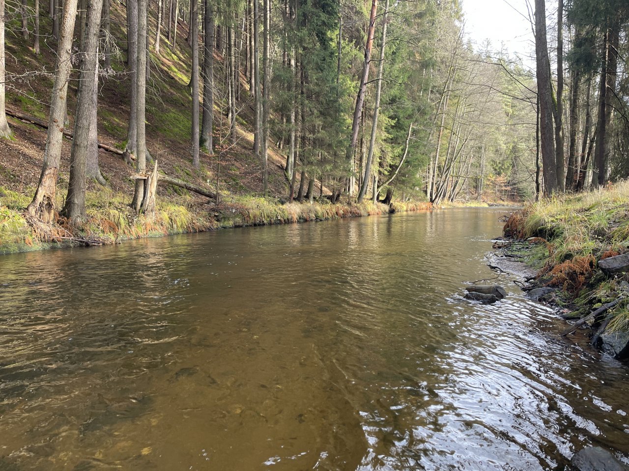 Svatava v okol� obce H�ebeny