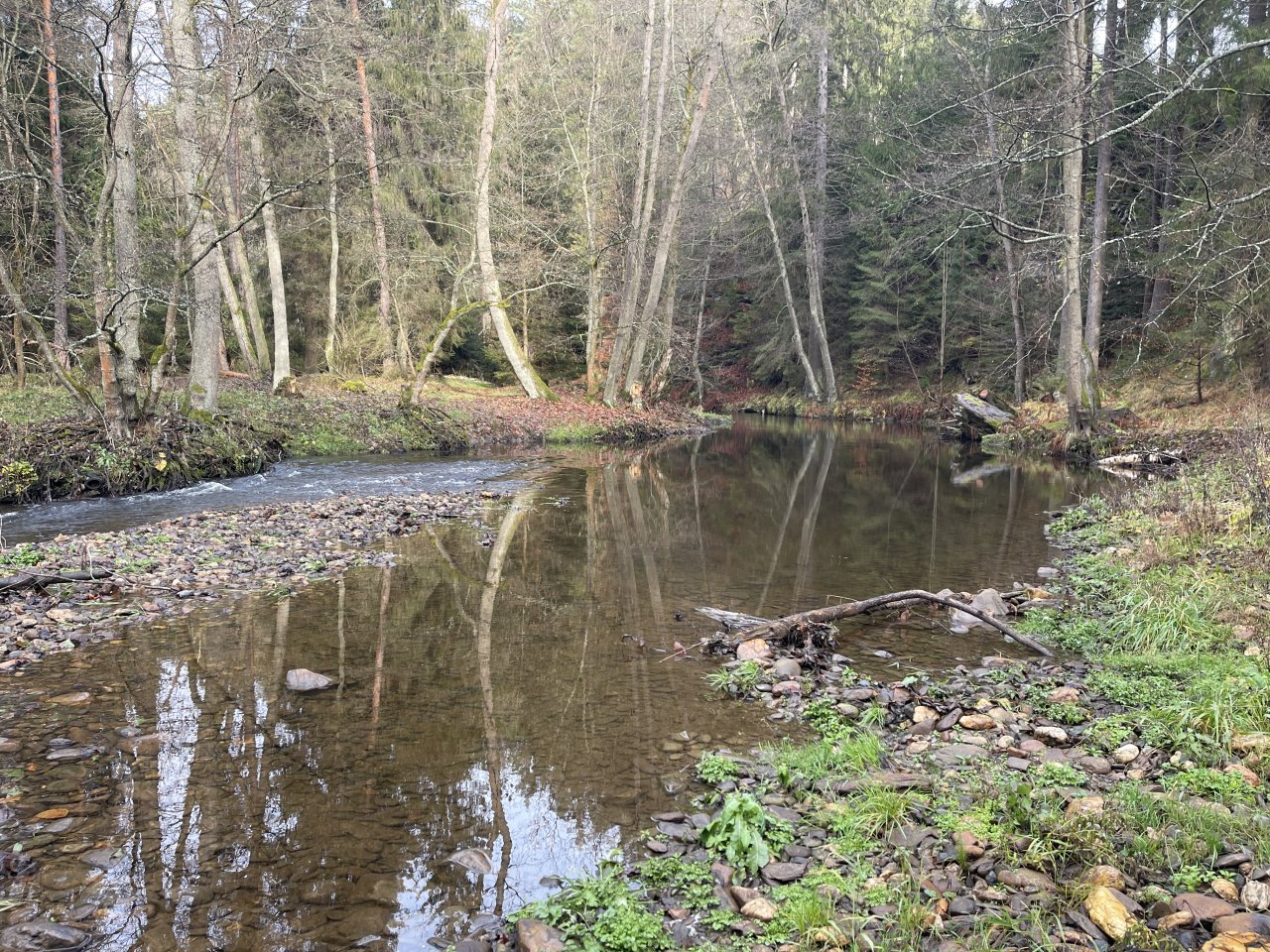 Svatava v okol� obce H�ebeny