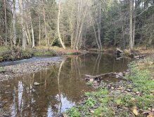 Svatava v okolí obce Hřebeny