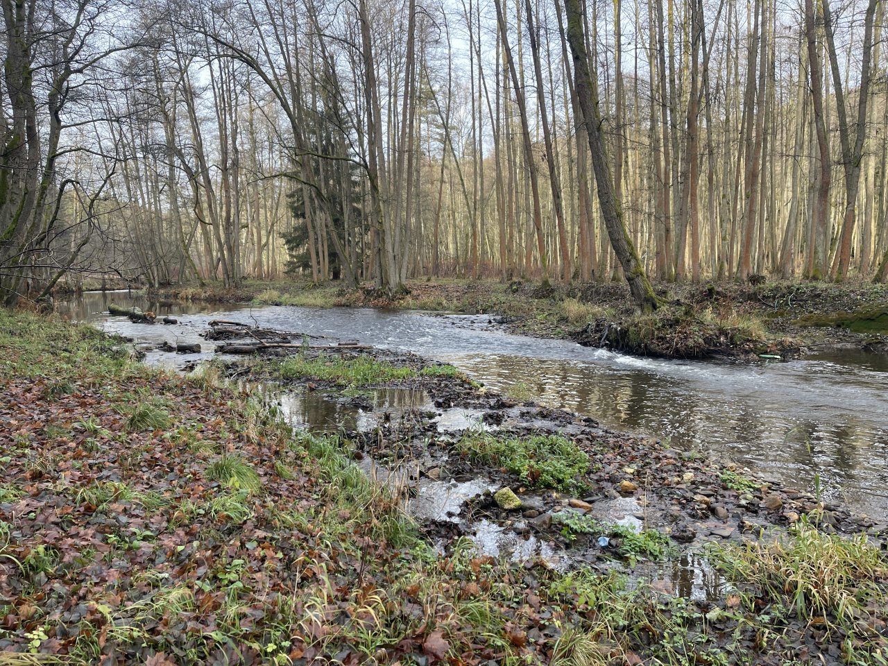 Svatava v okol� obce H�ebeny