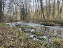 Svatava v okolí obce Hřebeny