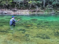 Slovinsko 2023 - Od jara do podzimu