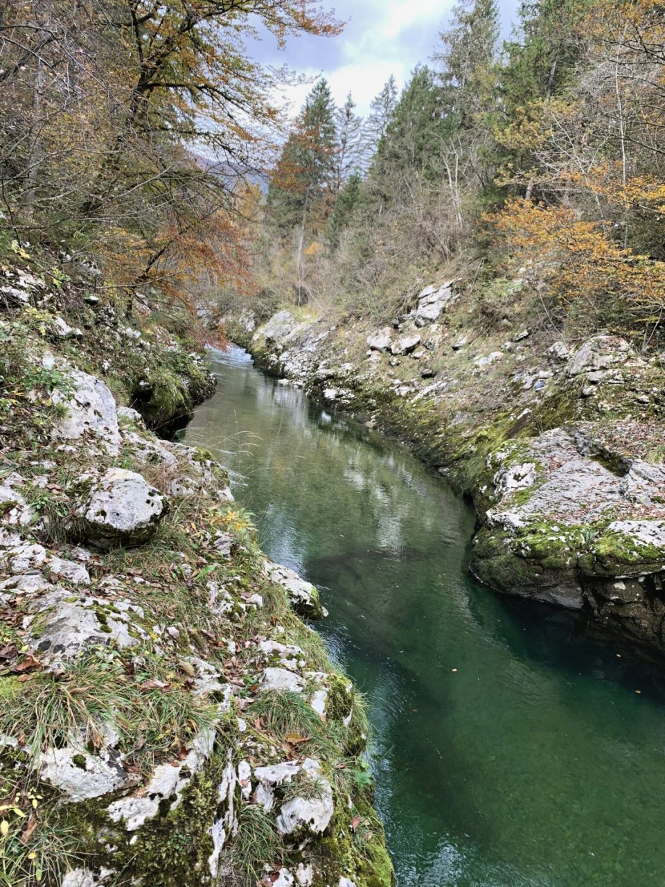 Sava Bohijka - Slovinsko