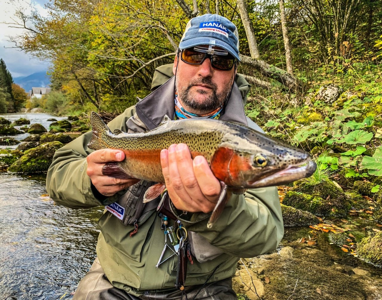 Sava Bohijka - Slovinsko