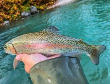 Sava Bohijka - Slovinsko