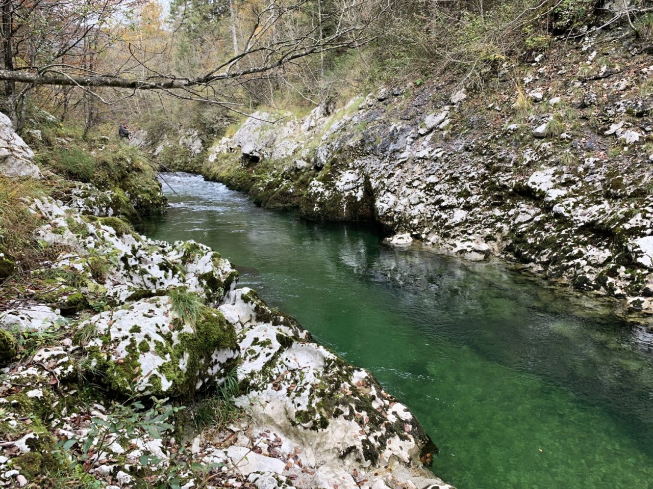 Sava Bohijka - Slovinsko