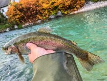 Sava Bohijka - Slovinsko