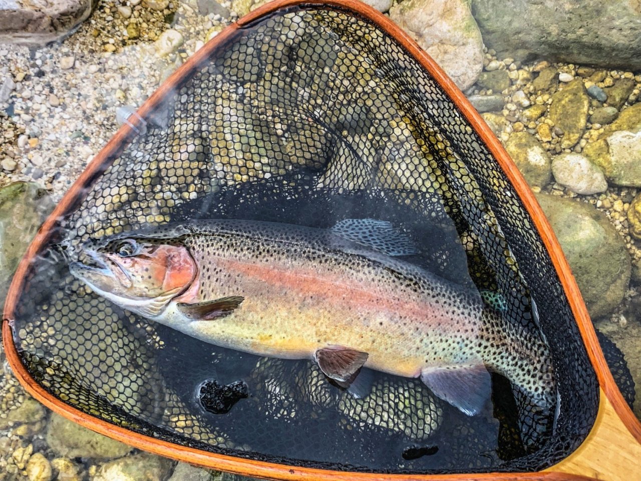 Sava Bohijka - Slovinsko