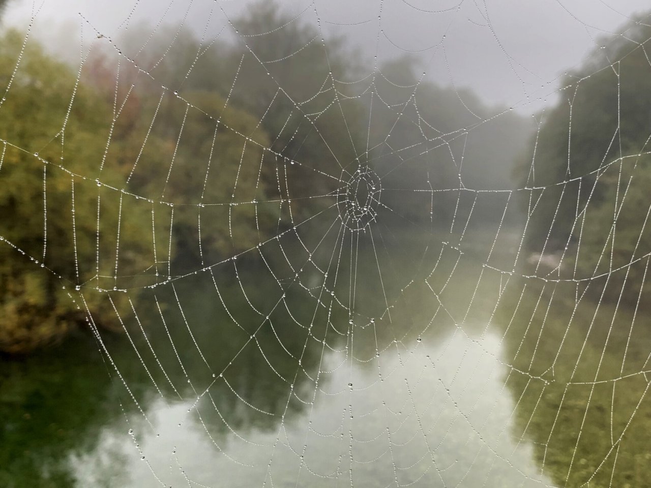 Sava Bohijka - Slovinsko