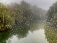 Sava Bohijka - Slovinsko