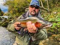 Sava Bohijka - Slovinsko