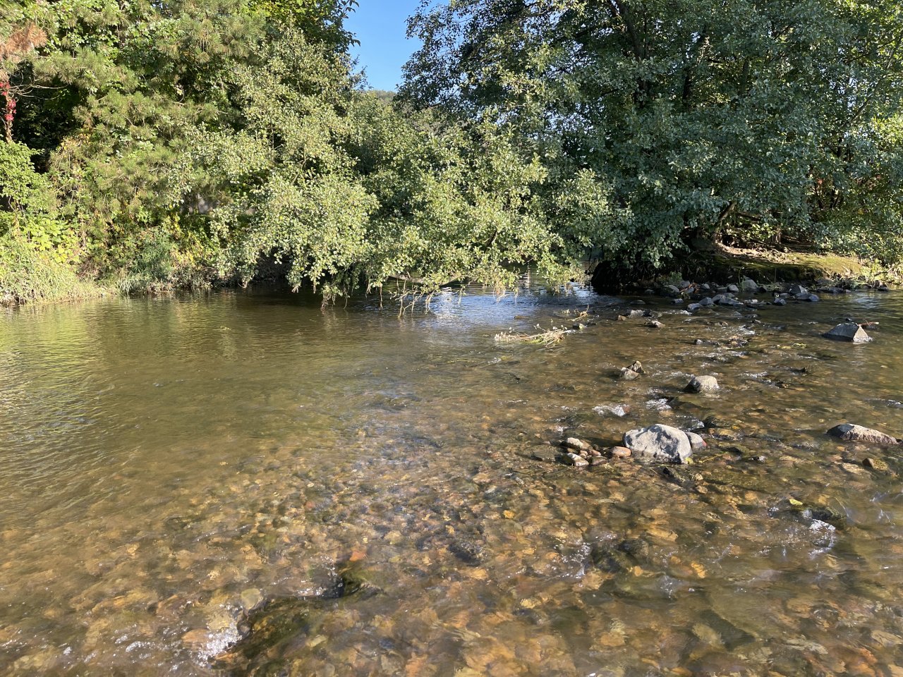 Lit�vka v Libomy�li