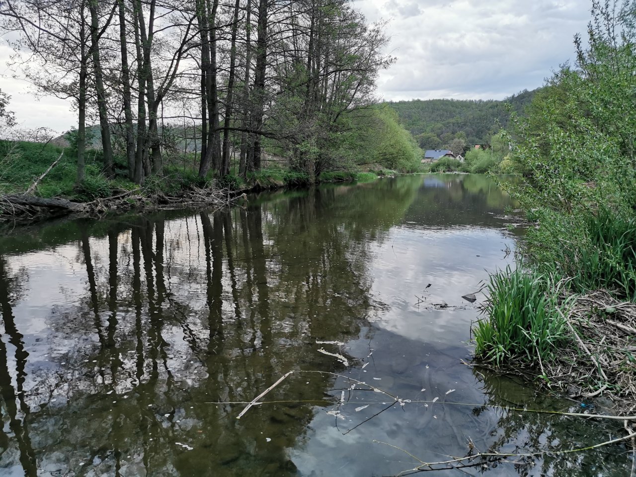 Litavka v Libomy�li