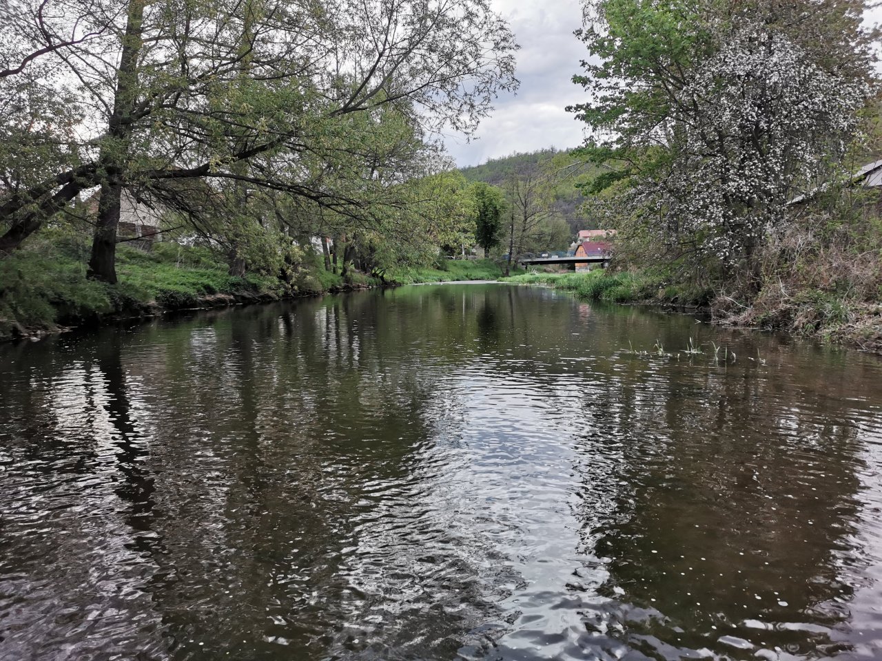 Lit�vka v Libomy�li