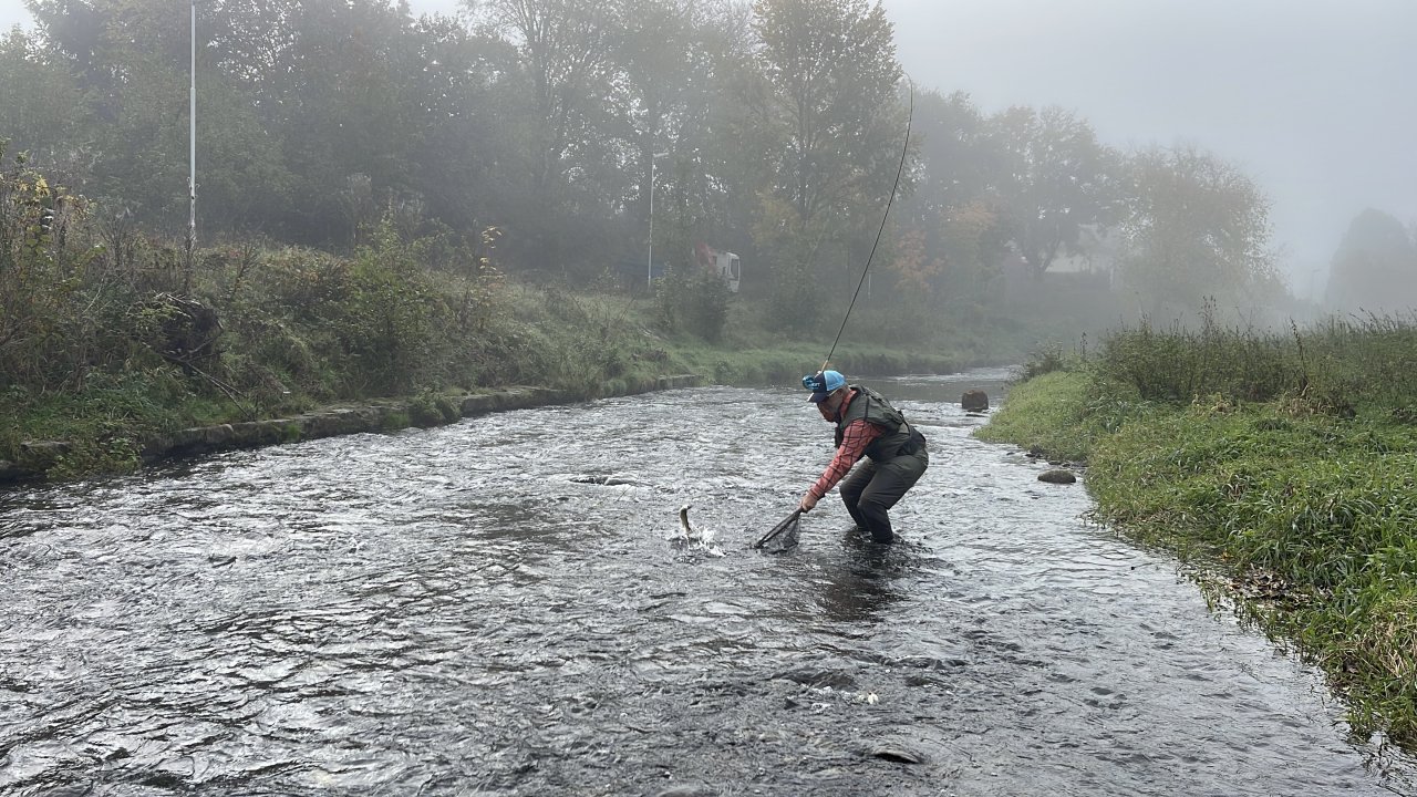 Lit�vka v Libomy�li