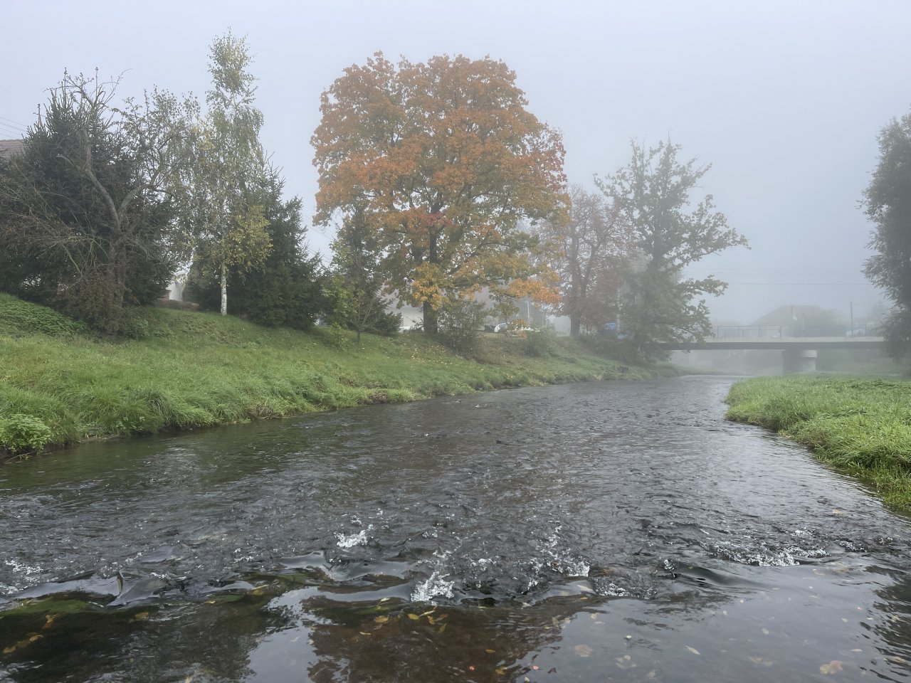 Lit�vka v Libomy�li