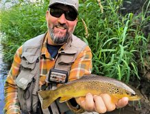 Letní muškařské toulky po říčkách v Podkrkonoší