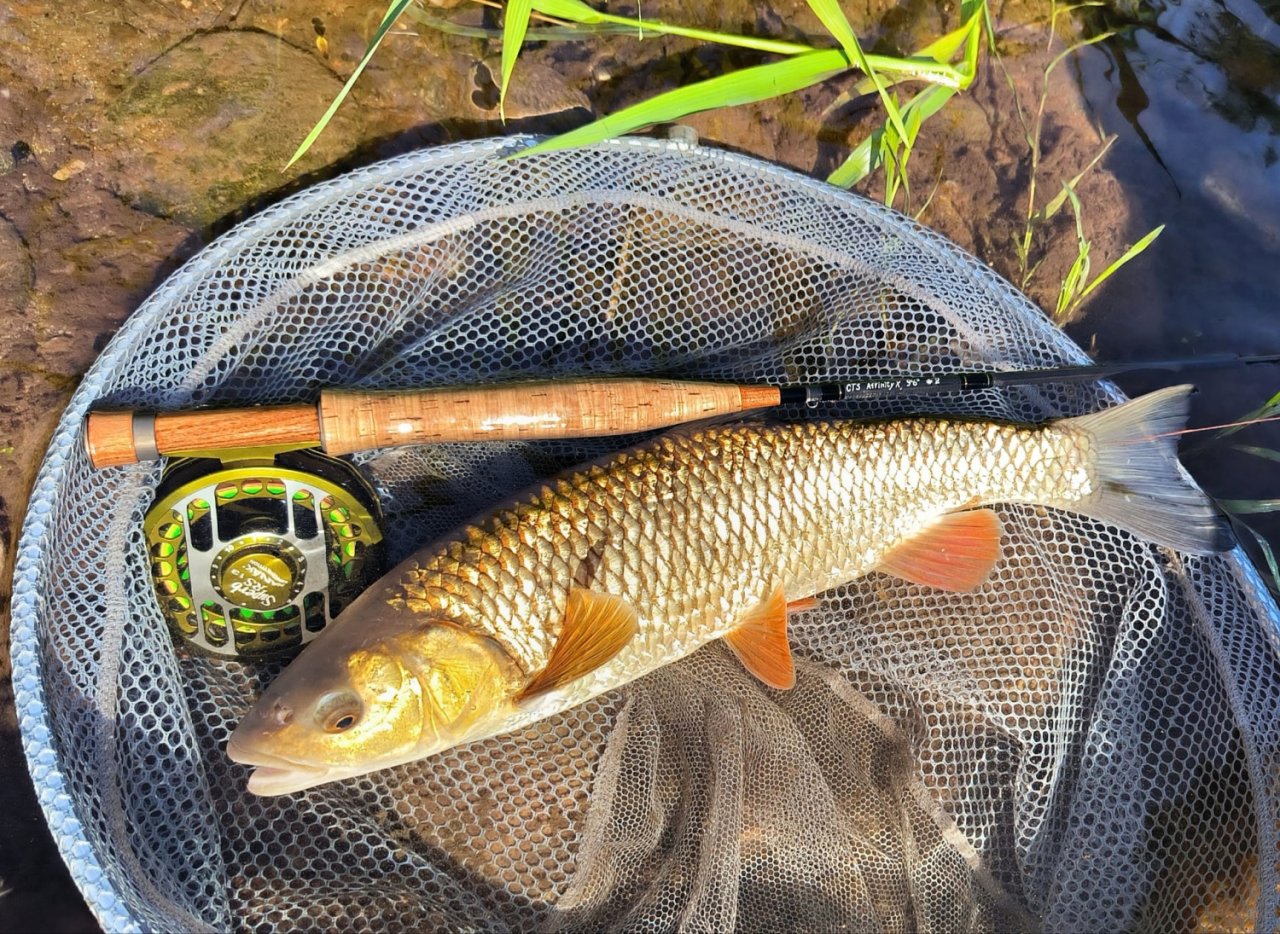 Letn� mu�ka�sk� toulky po ���k�ch v Podkrkono��