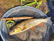 Letní muškařské toulky po říčkách v Podkrkonoší