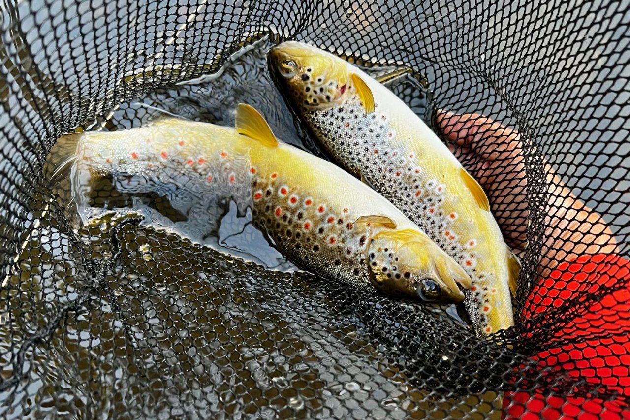 Letn� mu�ka�sk� toulky po ���k�ch v Podkrkono��