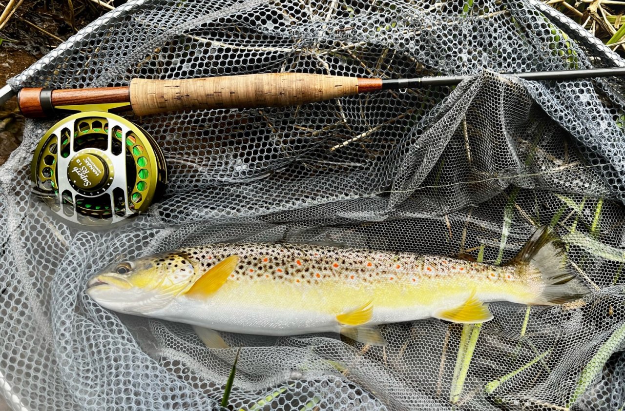 Letn� mu�ka�sk� toulky po ���k�ch v Podkrkono��