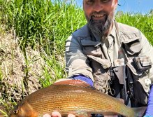 Letní muškařské toulky po říčkách v Podkrkonoší