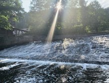 Letní muškařské toulky po říčkách v Podkrkonoší