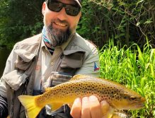 Letní muškařské toulky po říčkách v Podkrkonoší