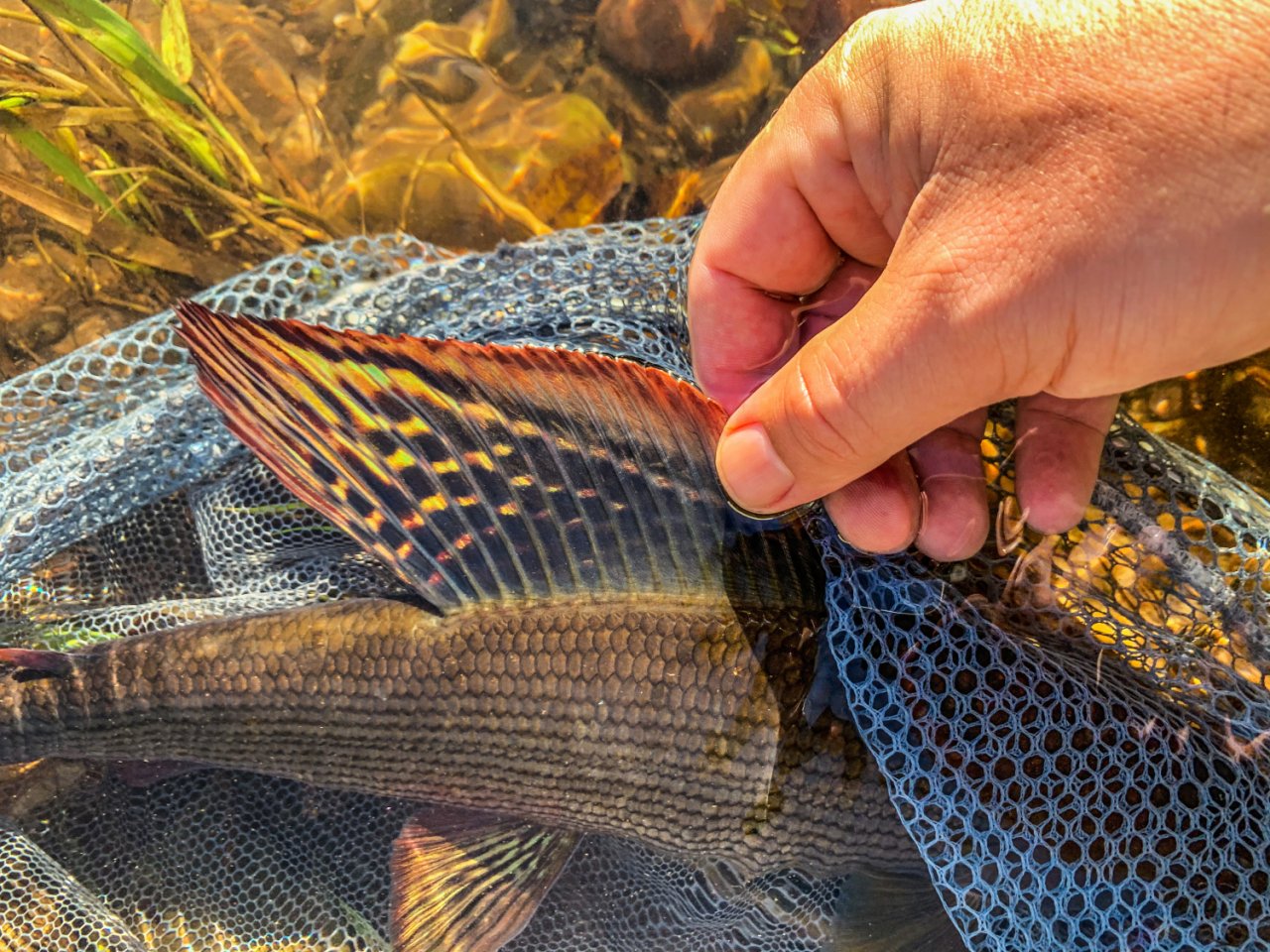 Letn� mu�ka�sk� toulky po ���k�ch v Podkrkono��