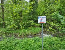 Košínský potok - pstruhový revír v centru Tábora