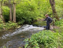 Košínský potok - pstruhový revír v centru Tábora