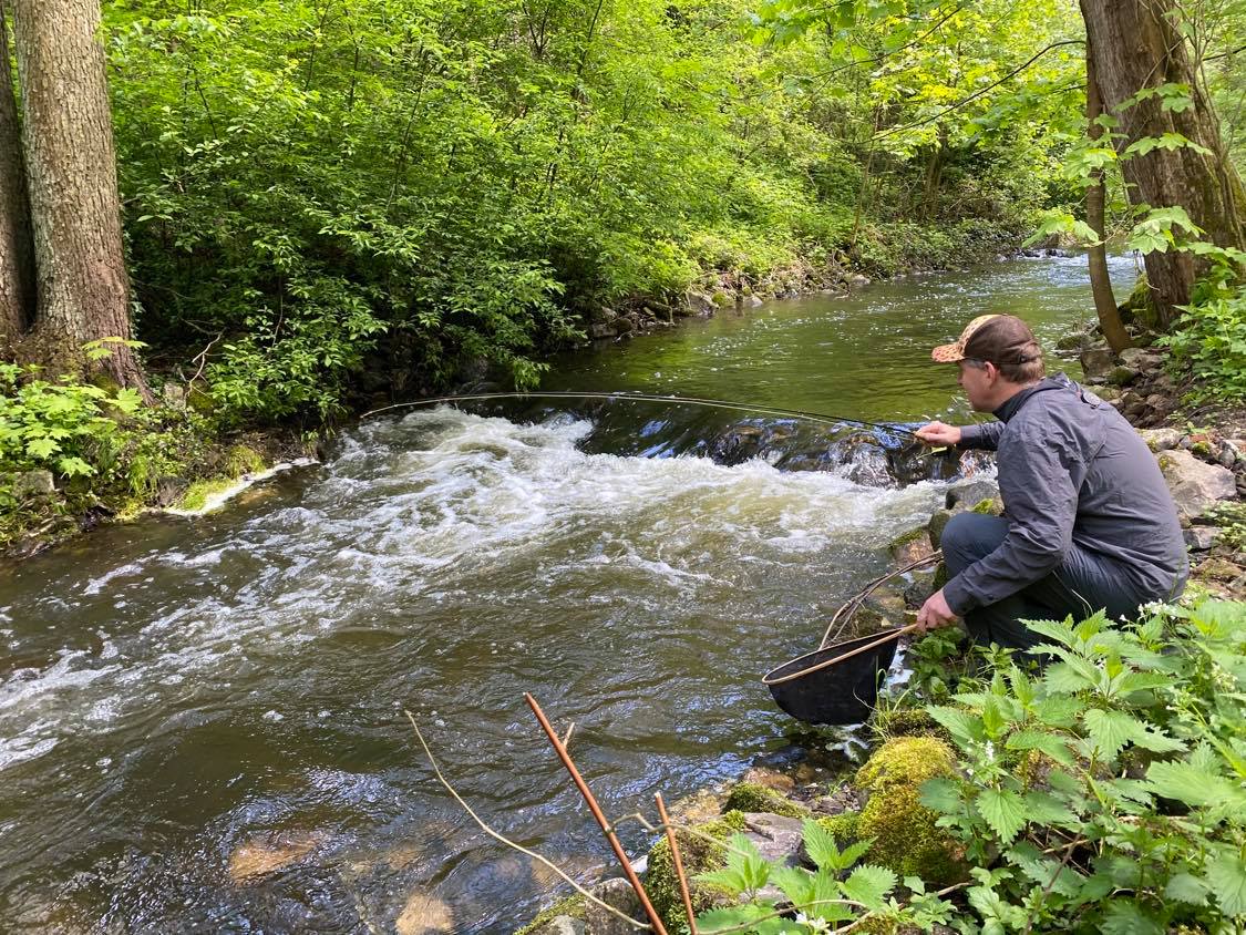 Ko��nsk� potok - pstruhov� rev�r v centru T�bora