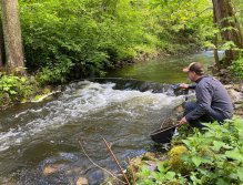 Košínský potok - pstruhový revír v centru Tábora