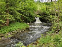Košínský potok - pstruhový revír v centru Tábora