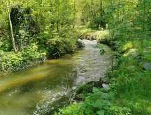 Košínský potok - pstruhový revír v centru Tábora