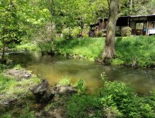 Košínský potok - pstruhový revír v centru Tábora